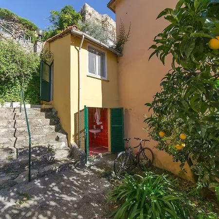 Hintown Family House A Santa Margherita *